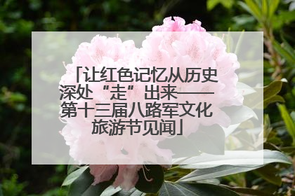 让红色记忆从历史深处“走”出来——第十三届八路军文化旅游节见闻