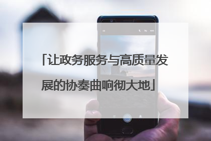 让政务服务与高质量发展的协奏曲响彻大地