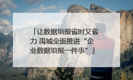让数据填报省时又省力 禹城全面推进“企业数据填报一件事”