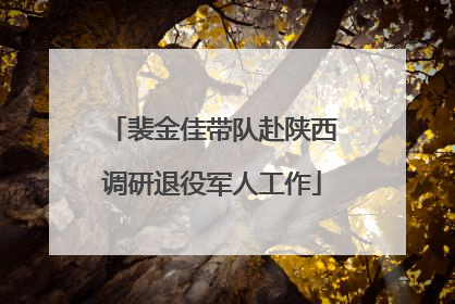 裴金佳带队赴陕西调研退役军人工作
