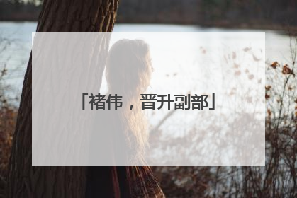 褚伟，晋升副部