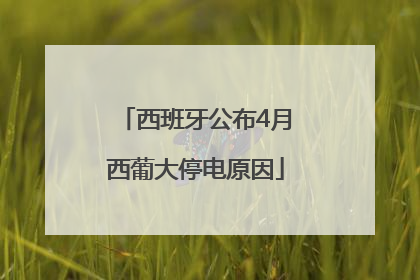 西班牙公布4月西葡大停电原因
