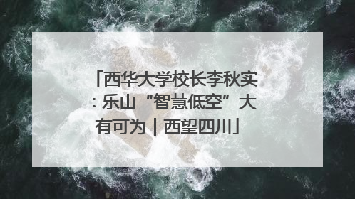 西华大学校长李秋实：乐山“智慧低空”大有可为｜西望四川