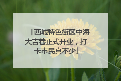 西城特色街区中海大吉巷正式开业，打卡市民真不少