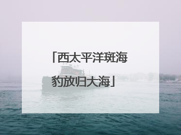 西太平洋斑海豹放归大海