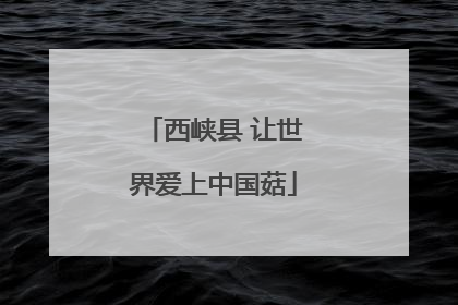 西峡县 让世界爱上中国菇