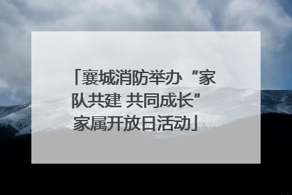 襄城消防举办“家队共建 共同成长”家属开放日活动