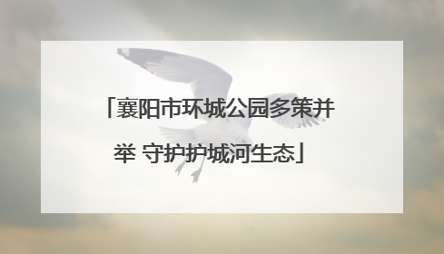 襄阳市环城公园多策并举 守护护城河生态