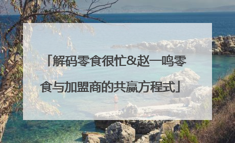 解码零食很忙&赵一鸣零食与加盟商的共赢方程式