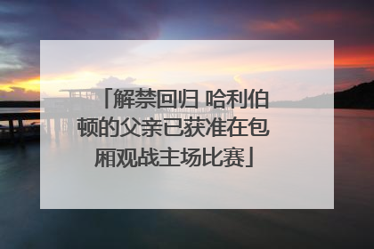 解禁回归 哈利伯顿的父亲已获准在包厢观战主场比赛