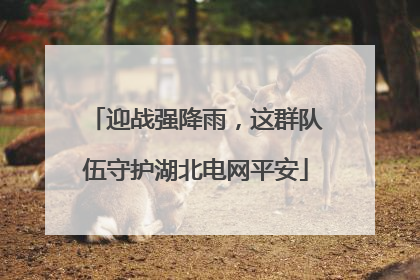迎战强降雨，这群队伍守护湖北电网平安