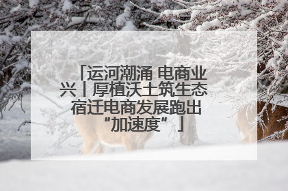 运河潮涌 电商业兴丨厚植沃土筑生态 宿迁电商发展跑出“加速度”