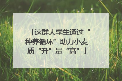 这群大学生通过“种养循环”助力小麦质“升”量“高”