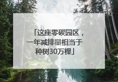这座零碳园区，一年减排量相当于种树30万棵