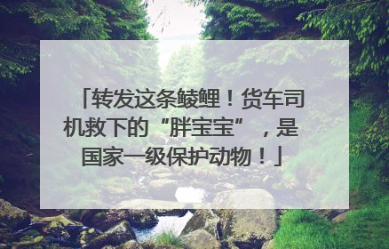 转发这条鲮鲤！货车司机救下的“胖宝宝”，是国家一级保护动物！
