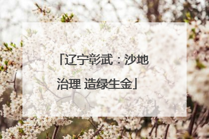 辽宁彰武：沙地治理 造绿生金