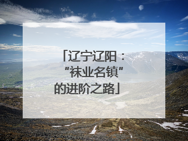 辽宁辽阳：“袜业名镇”的进阶之路