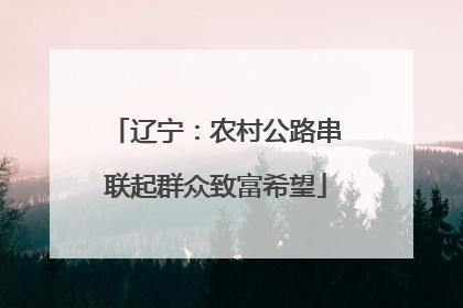 辽宁：农村公路串联起群众致富希望