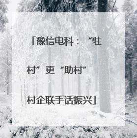 豫信电科：“驻村”更“助村” 村企联手话振兴