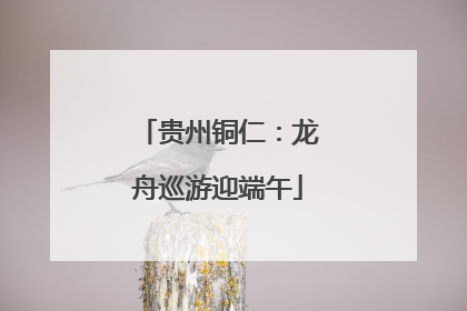 贵州铜仁：龙舟巡游迎端午