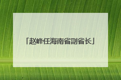 赵峰任海南省副省长