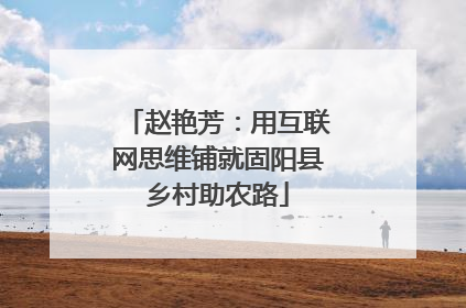 赵艳芳：用互联网思维铺就固阳县乡村助农路
