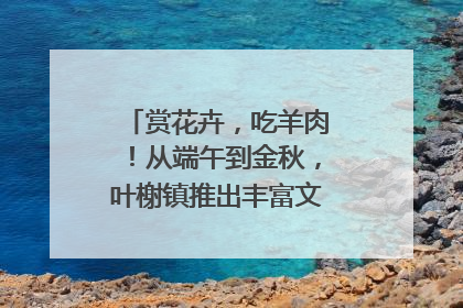 赏花卉，吃羊肉！从端午到金秋，叶榭镇推出丰富文旅活动邀您爽玩