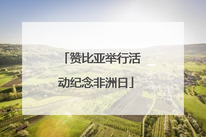 赞比亚举行活动纪念非洲日