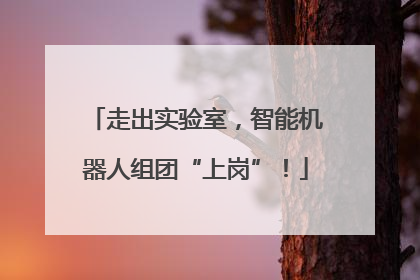 走出实验室，智能机器人组团“上岗”！