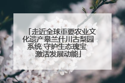 走近全球重要农业文化遗产皋兰什川古梨园系统 守护生态瑰宝 激活发展动能