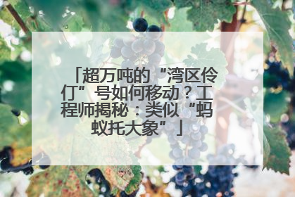 超万吨的“湾区伶仃”号如何移动？工程师揭秘：类似“蚂蚁托大象”