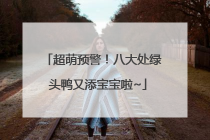 超萌预警！八大处绿头鸭又添宝宝啦~