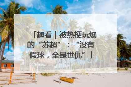 趣看｜被热梗玩爆的“苏超”：“没有假球，全是世仇”