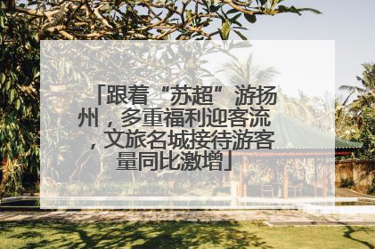 跟着“苏超”游扬州，多重福利迎客流，文旅名城接待游客量同比激增