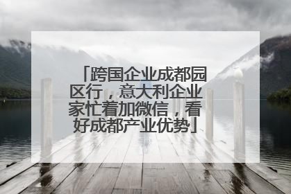 跨国企业成都园区行，意大利企业家忙着加微信，看好成都产业优势