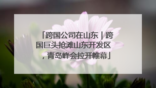 跨国公司在山东｜跨国巨头抢滩山东开发区，青岛峰会拉开帷幕