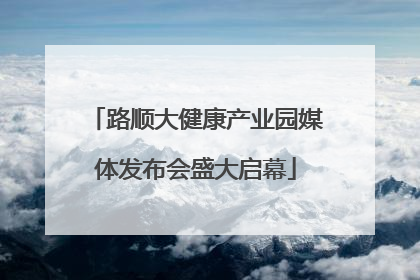 路顺大健康产业园媒体发布会盛大启幕