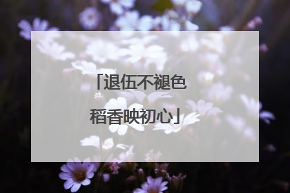 退伍不褪色 稻香映初心