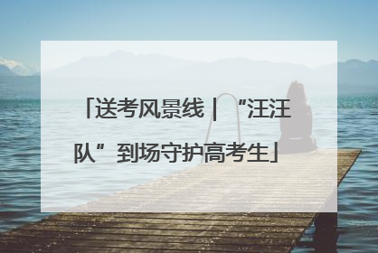 送考风景线｜“汪汪队”到场守护高考生