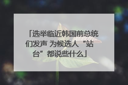 选举临近韩国前总统们发声 为候选人“站台”都说些什么
