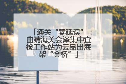 通关“零延误”：曲靖海关会泽集中查检工作站为云品出海架“金桥”