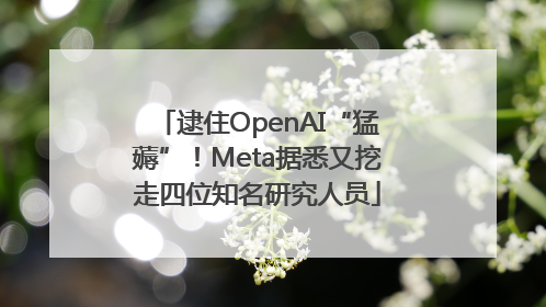 逮住OpenAI“猛薅”！Meta据悉又挖走四位知名研究人员