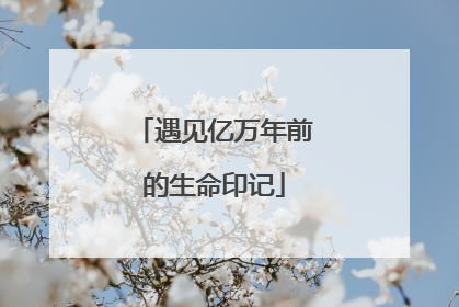 遇见亿万年前的生命印记