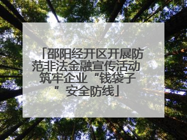 邵阳经开区开展防范非法金融宣传活动 筑牢企业“钱袋子”安全防线