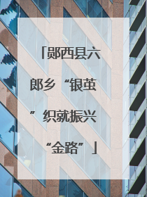 郧西县六郎乡“银茧”织就振兴“金路”