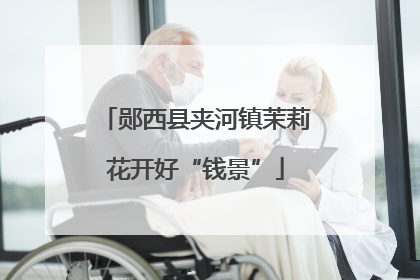 郧西县夹河镇茉莉花开好“钱景”