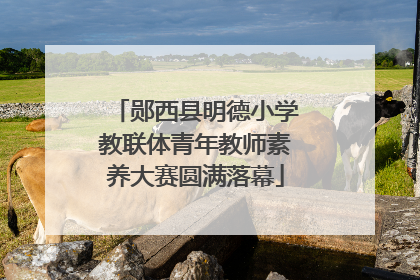 郧西县明德小学教联体青年教师素养大赛圆满落幕