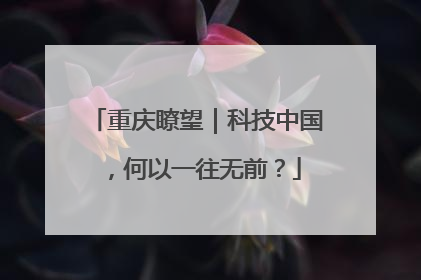 重庆瞭望｜科技中国，何以一往无前？