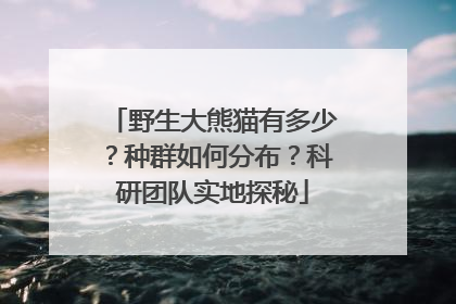 野生大熊猫有多少？种群如何分布？科研团队实地探秘
