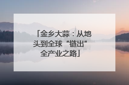 金乡大蒜：从地头到全球“链出”全产业之路